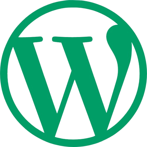 best digital marketer in calicut